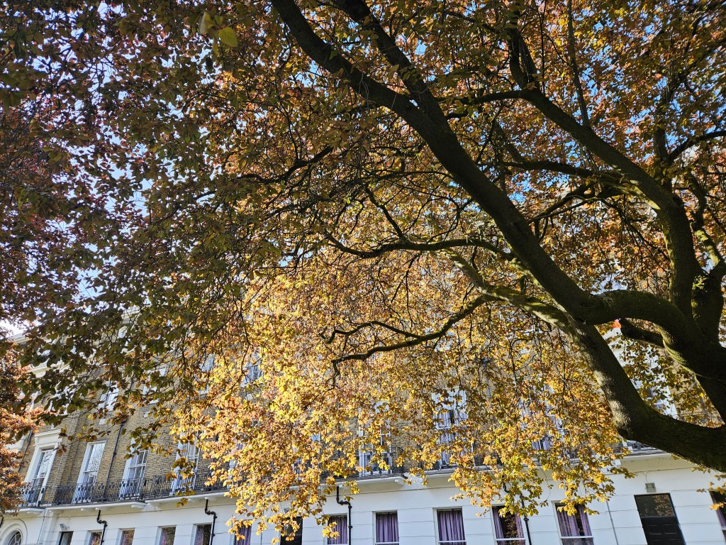 “The Moment I Realised My Depression Was Lifting”