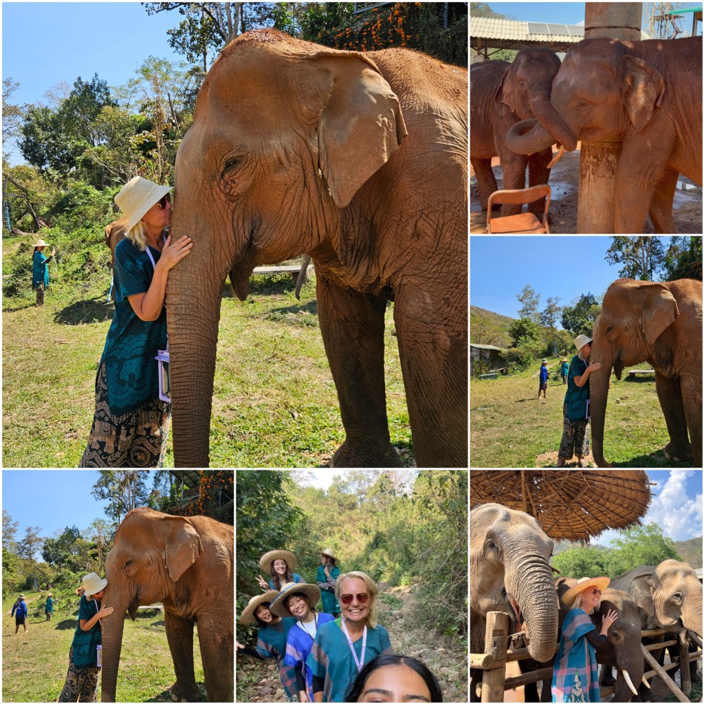 Elephant Healing Power.